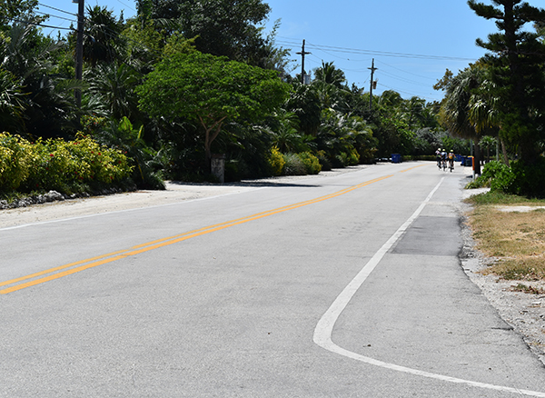 bicycle bike islamorada