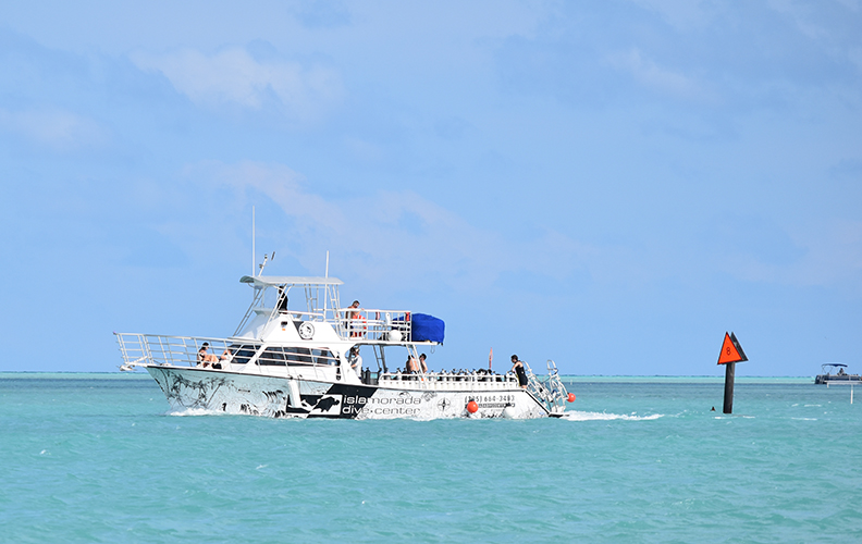 islamorada dive