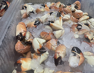 keys stone crabs